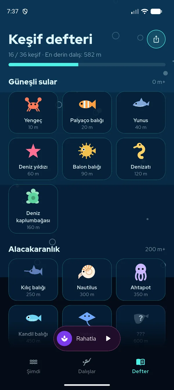 Deniz canlılarıyla keşif defteri