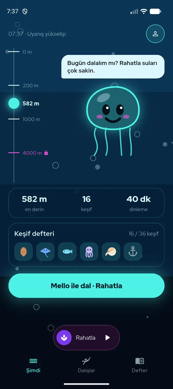 Okyanusta dalan denizanası Mello